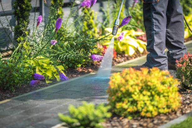 Best Gutter Cleaning and Brightening in Manorville, NY